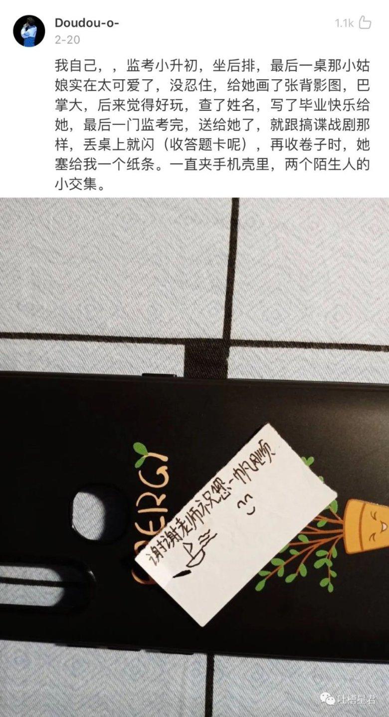 植物大战僵尸17