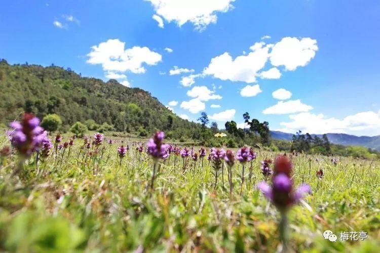 打造“世界电瓷之都”!湖南省电瓷电器行业商会年度总结部署
