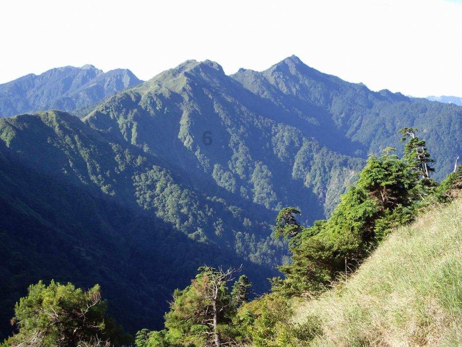逛山城 寻年味 | 又到一年“香肠季” 重庆灌香肠生意格外火